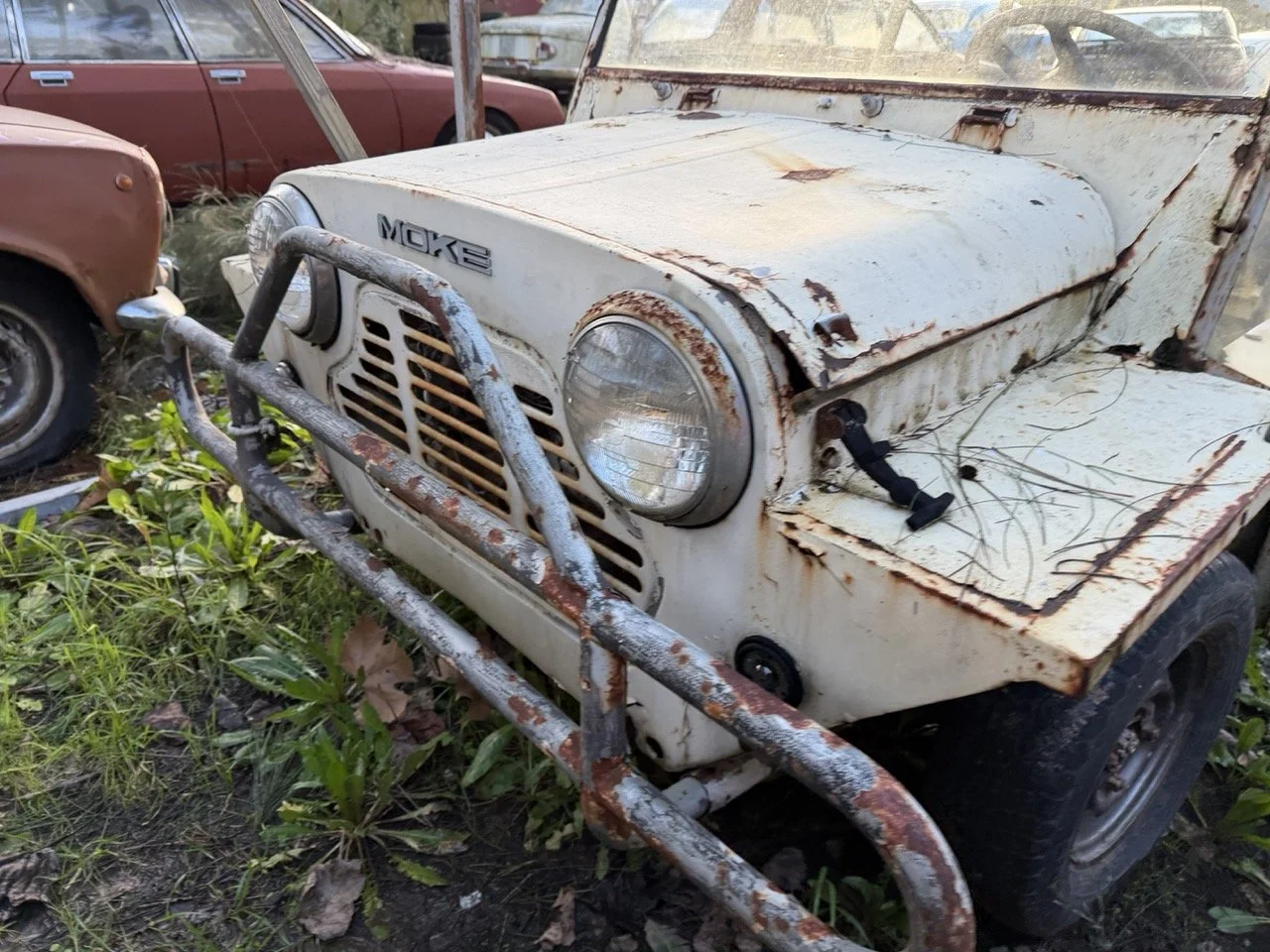 IMG_0885 – grande.jpeg