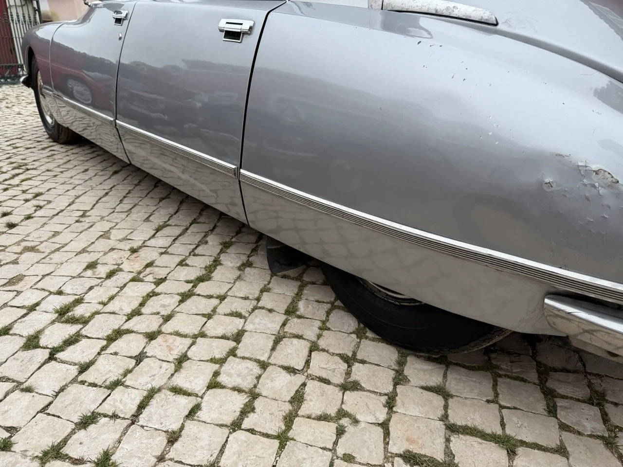 IMG_3767 – grande.jpeg