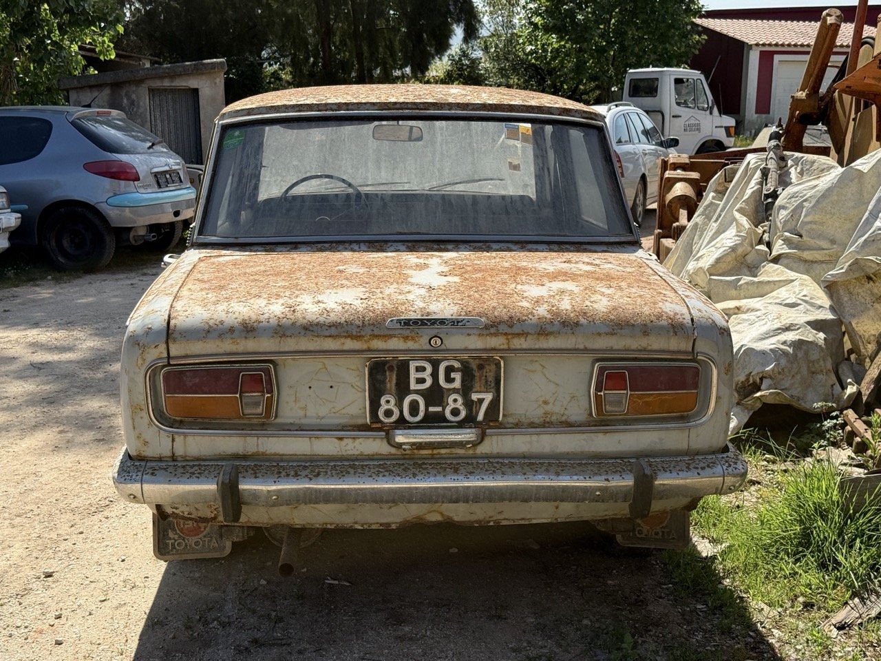 IMG_3225 – grande.jpeg