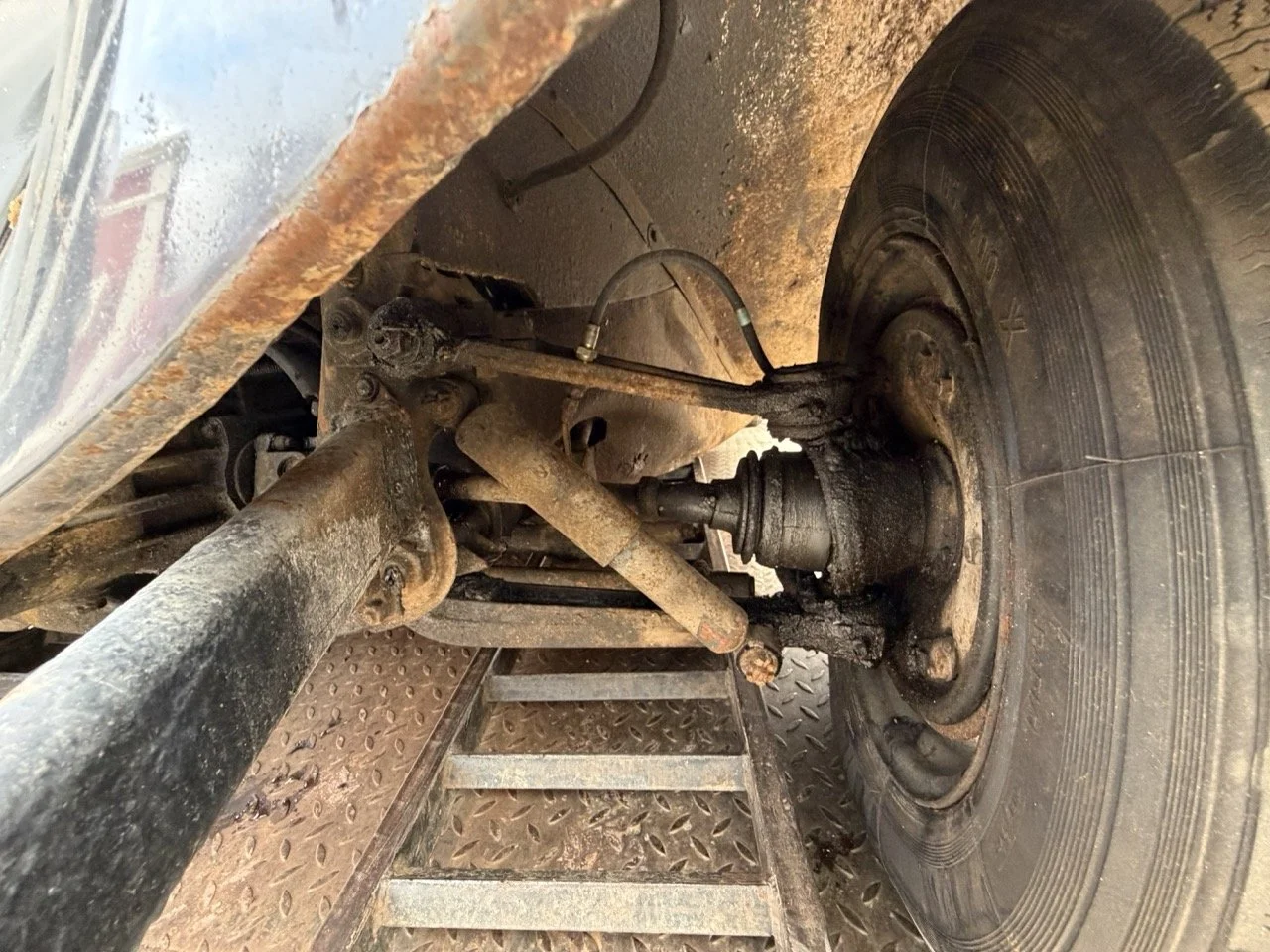 IMG_1903 – grande.jpeg