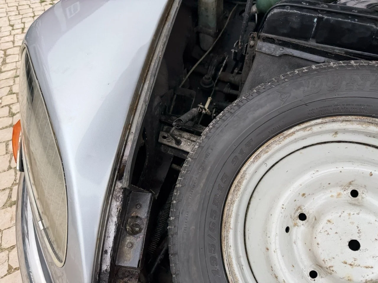 IMG_3734 – grande.jpeg