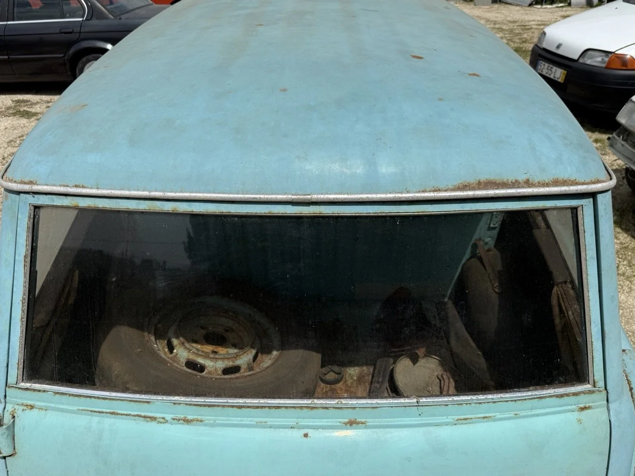 IMG_1400 – grande.jpeg