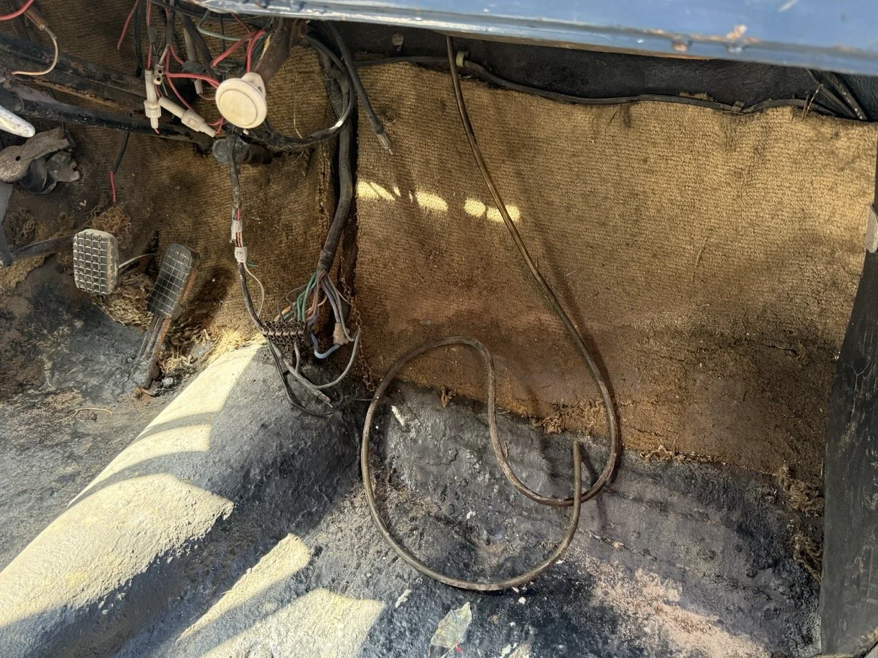 IMG_3540 – grande.jpeg