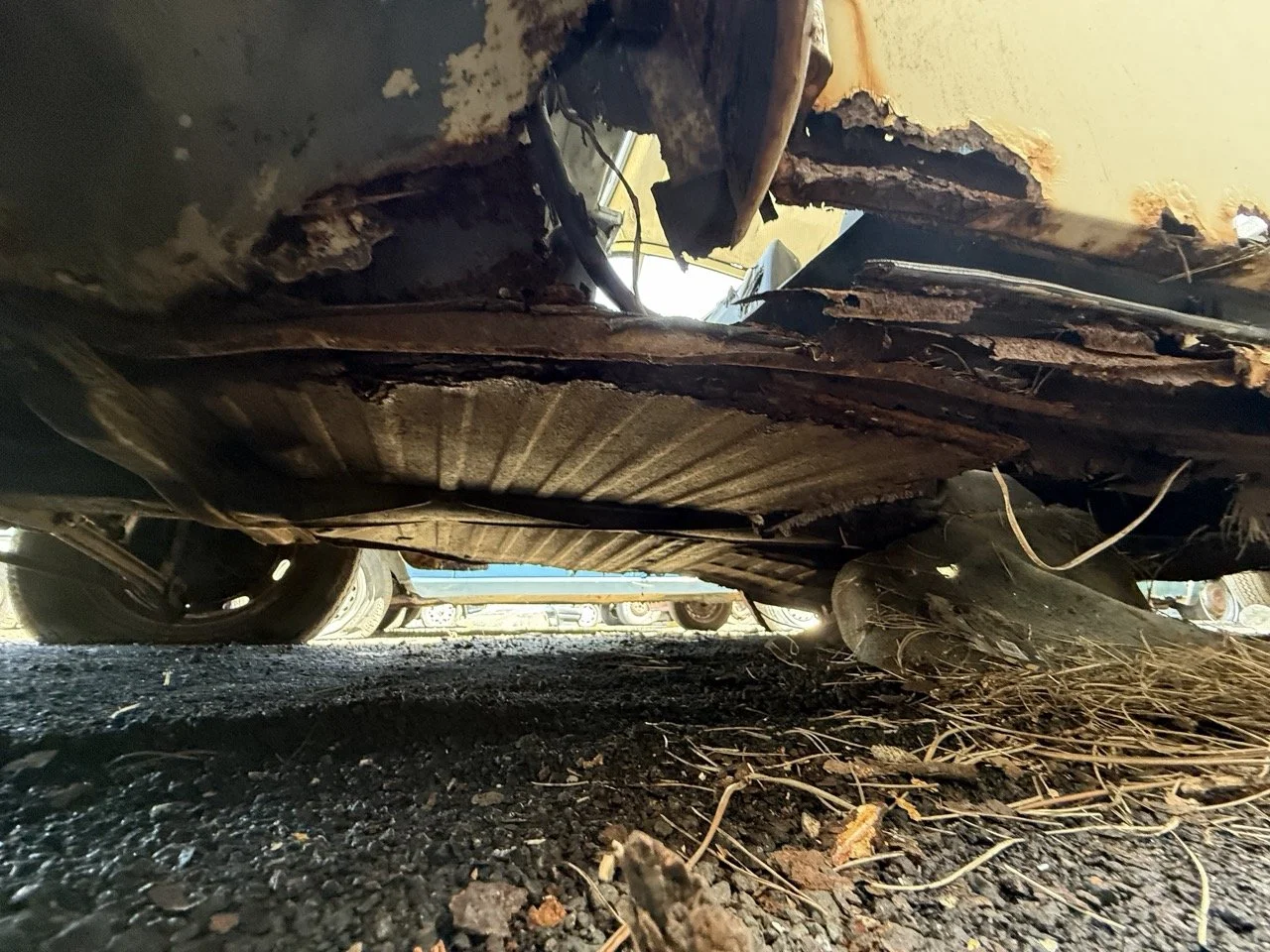 IMG_0645 – grande.jpeg