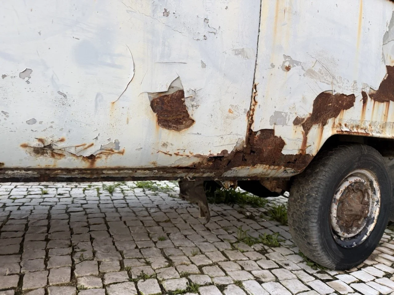 IMG_0839 – grande.jpeg