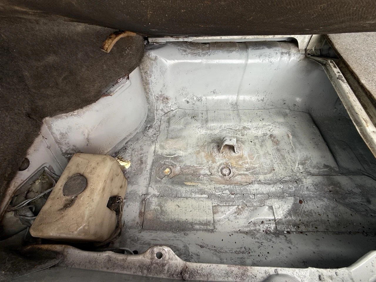 IMG_8581 – grande.jpeg