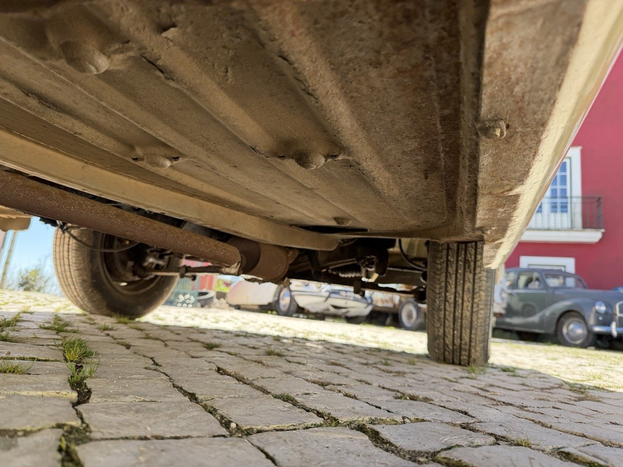 IMG_6749 – grande.jpeg