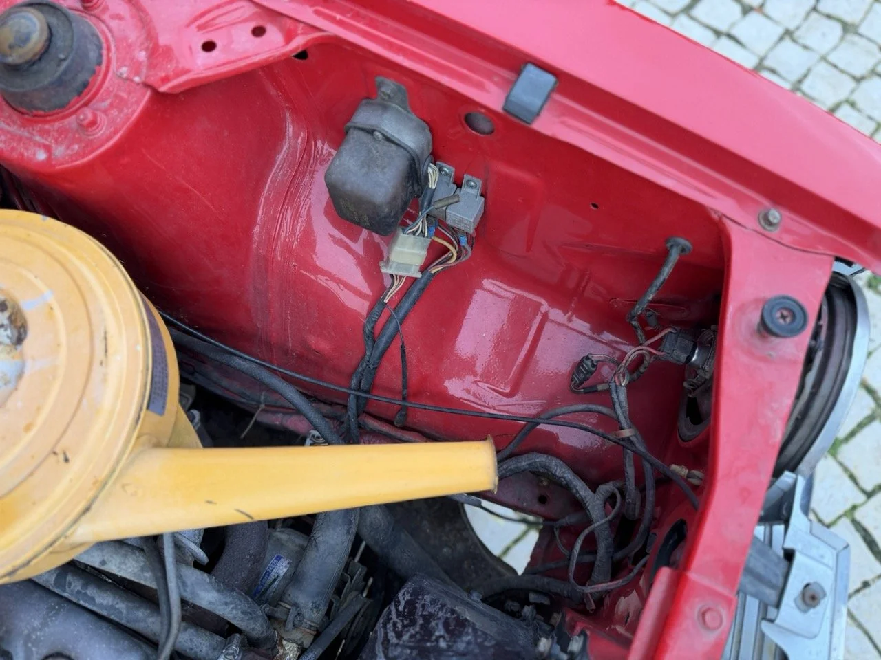 IMG_8258 – grande.jpeg