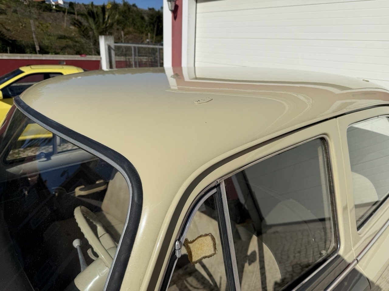 IMG_6712 – grande.jpeg