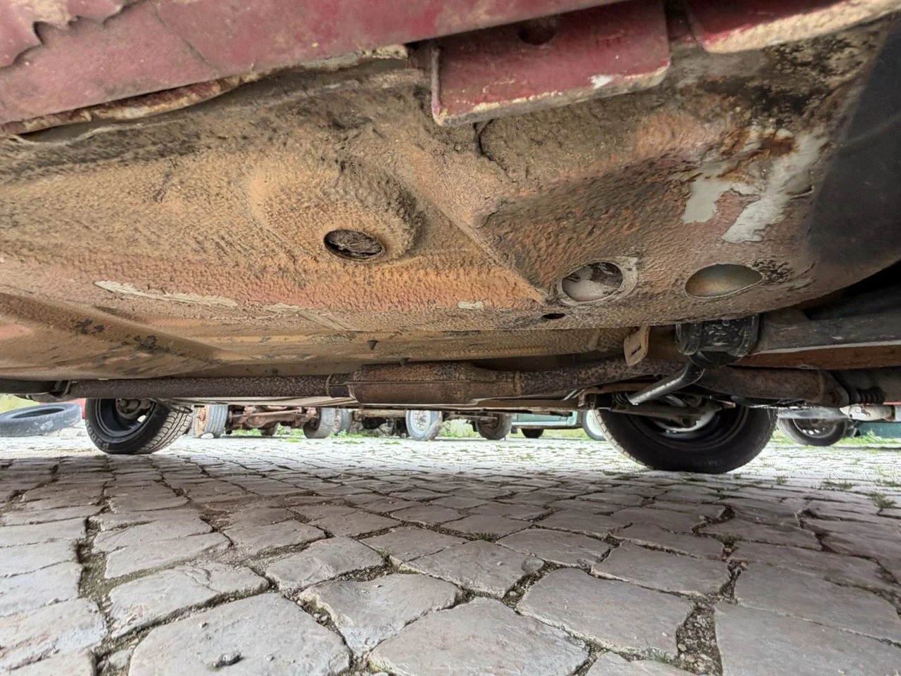 IMG_3655 – grande.jpeg