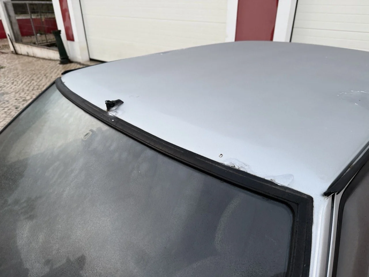 IMG_4747 3 – grande.jpeg