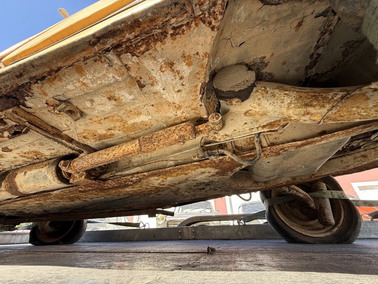 IMG_9128 – grande.jpeg