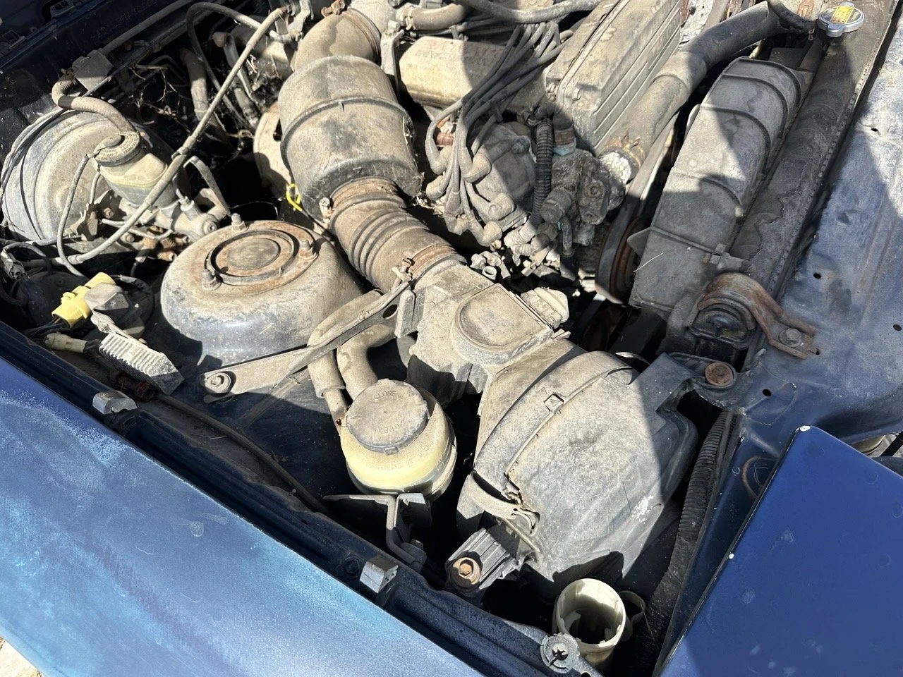 IMG_7213 – grande.jpeg