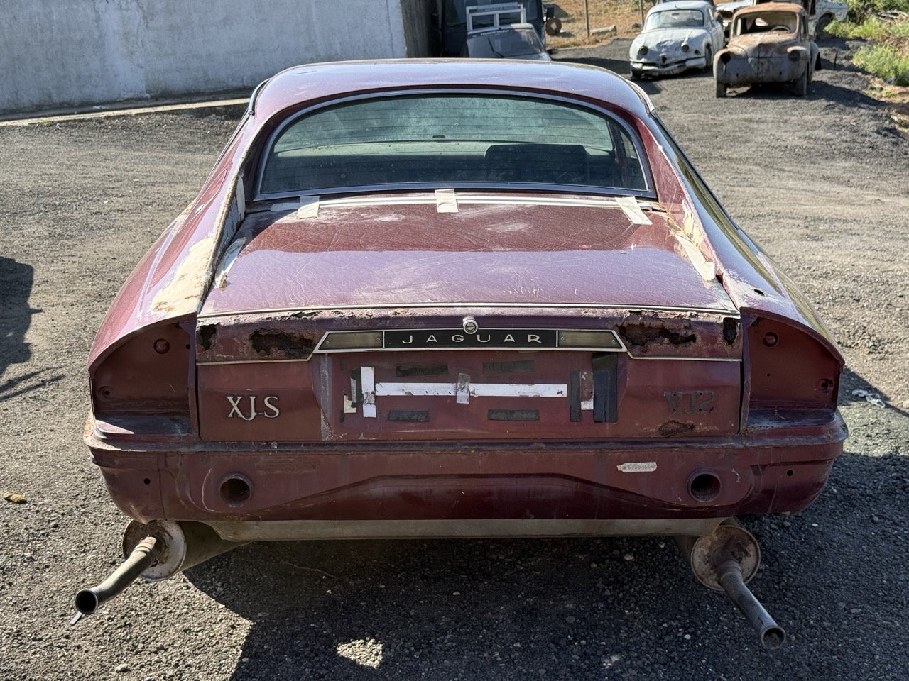 IMG_2969 – grande.jpeg