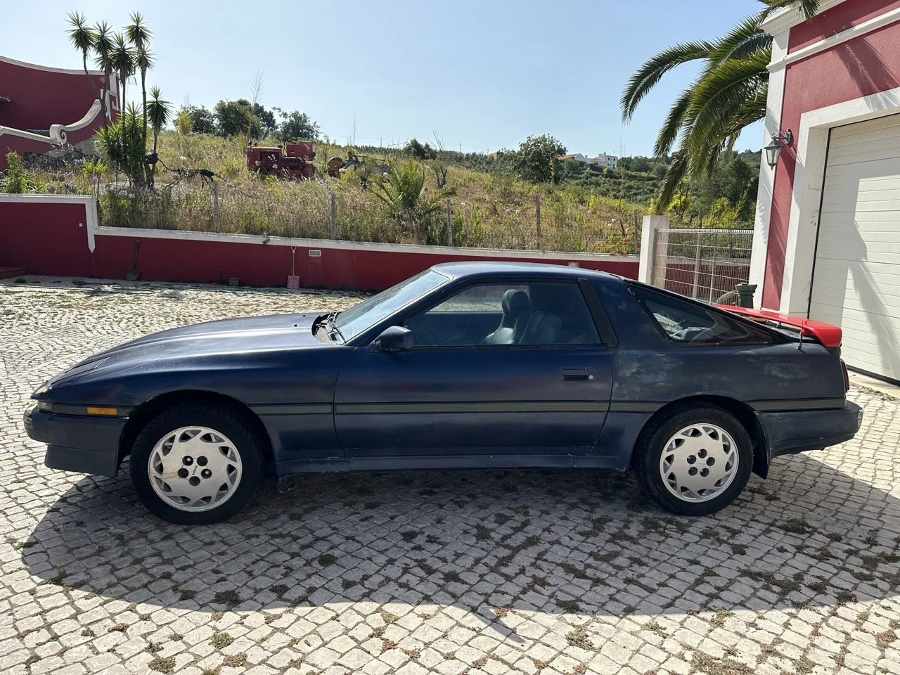 IMG_7163 – grande.jpeg