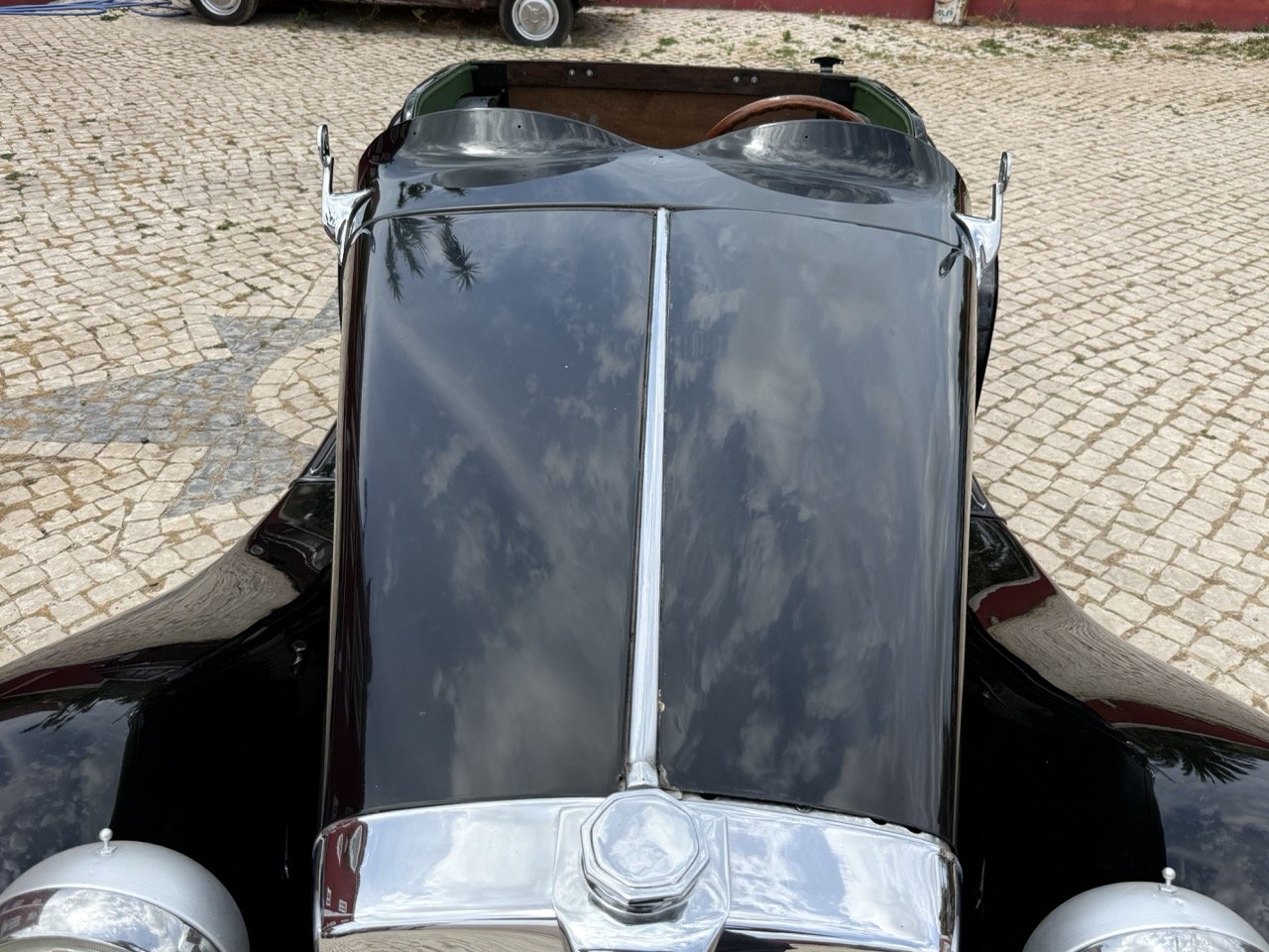 IMG_9731 – grande.jpeg