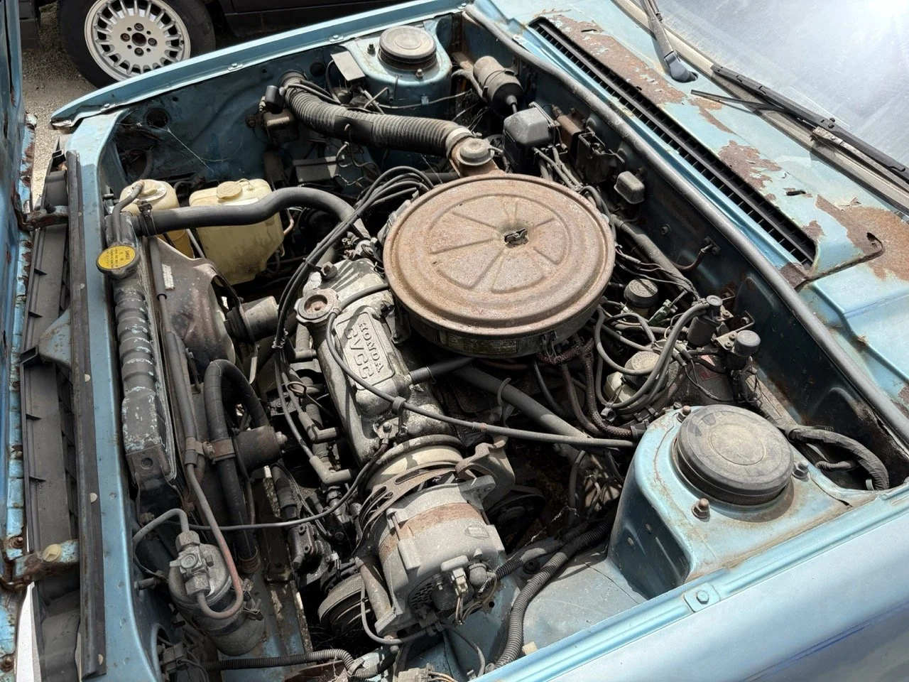 IMG_1517 – grande.jpeg