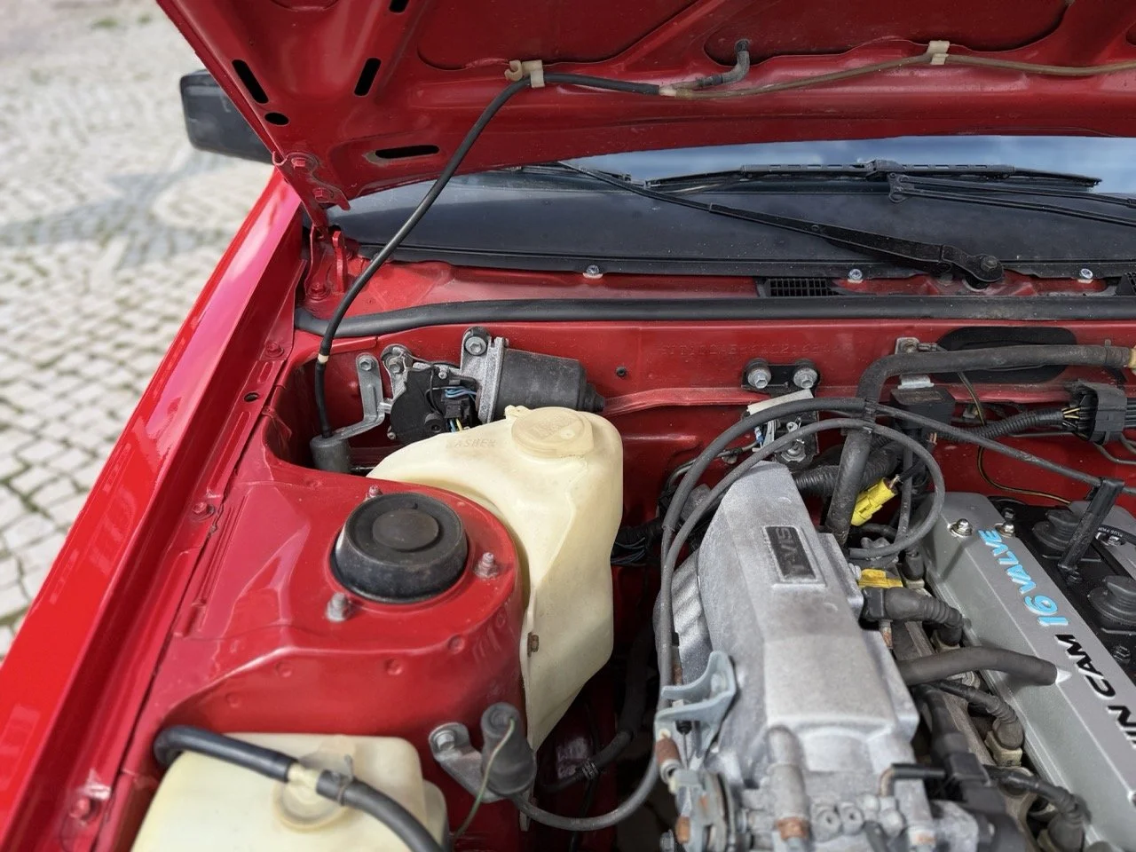 IMG_2353 – grande.jpeg