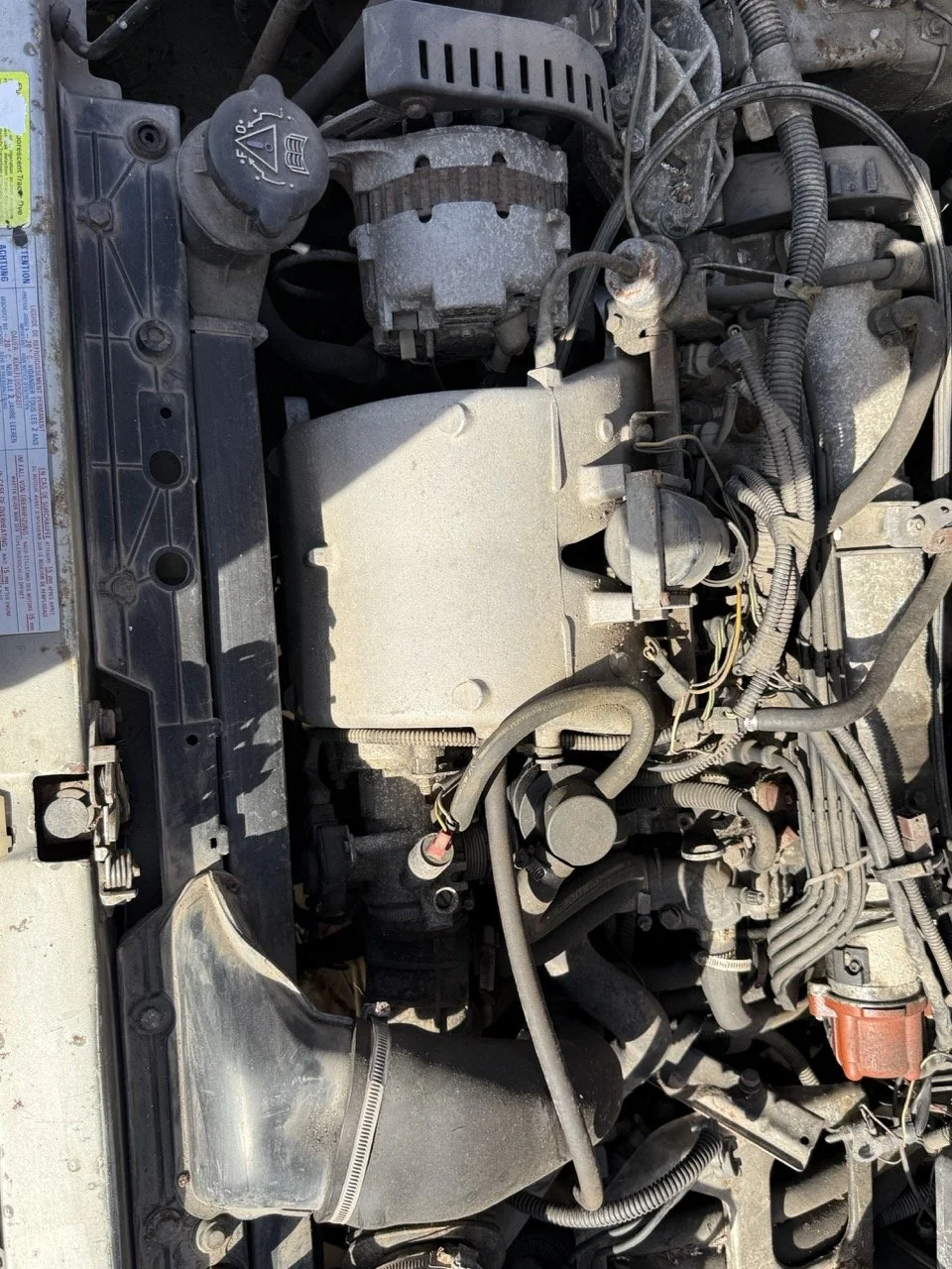 IMG_2555 – grande.jpeg