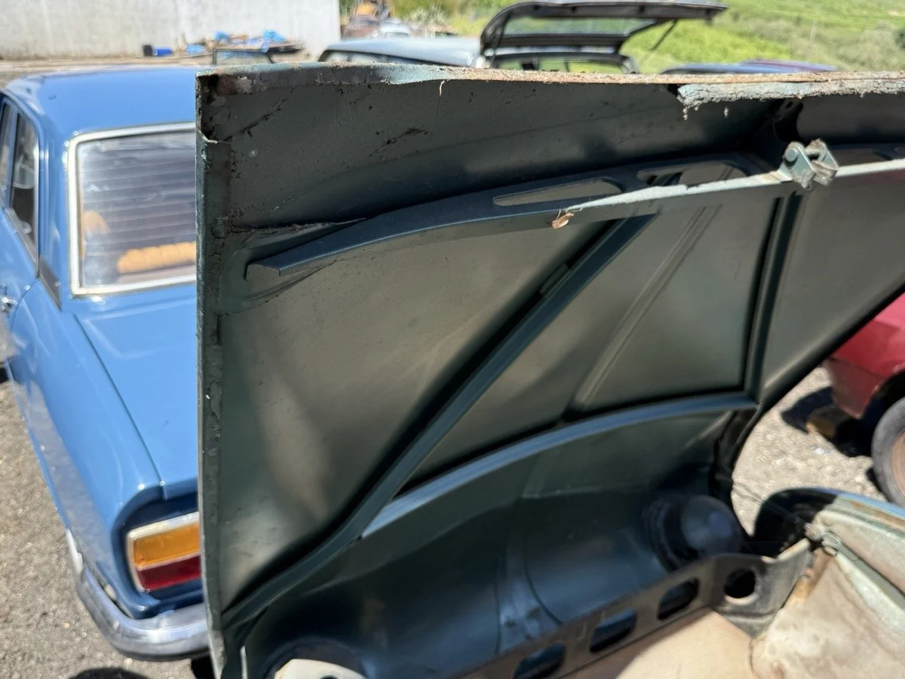 IMG_0839 – grande.jpeg