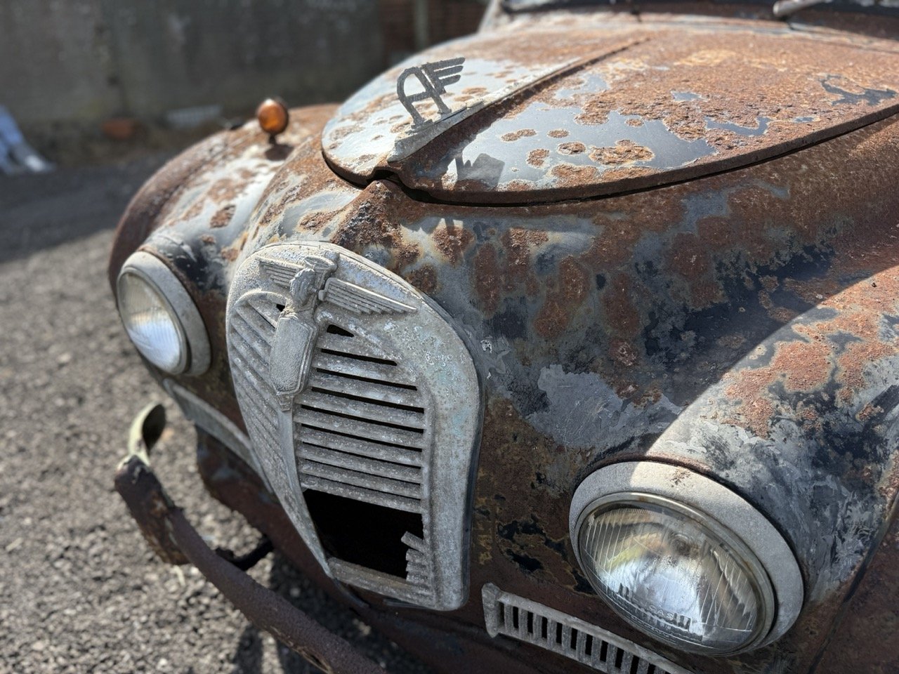 IMG_0442 – grande.jpeg