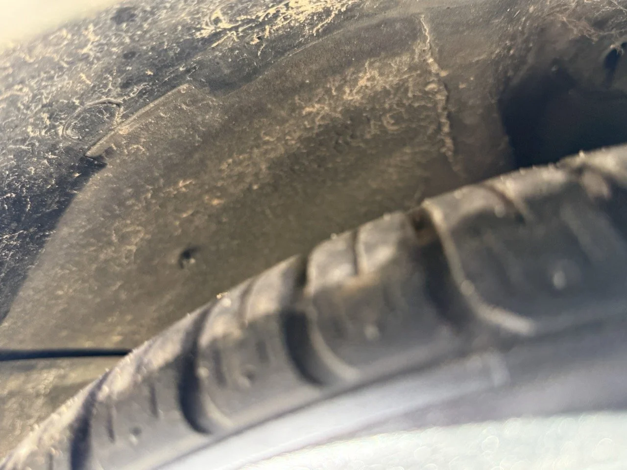 IMG_2643 – grande.jpeg