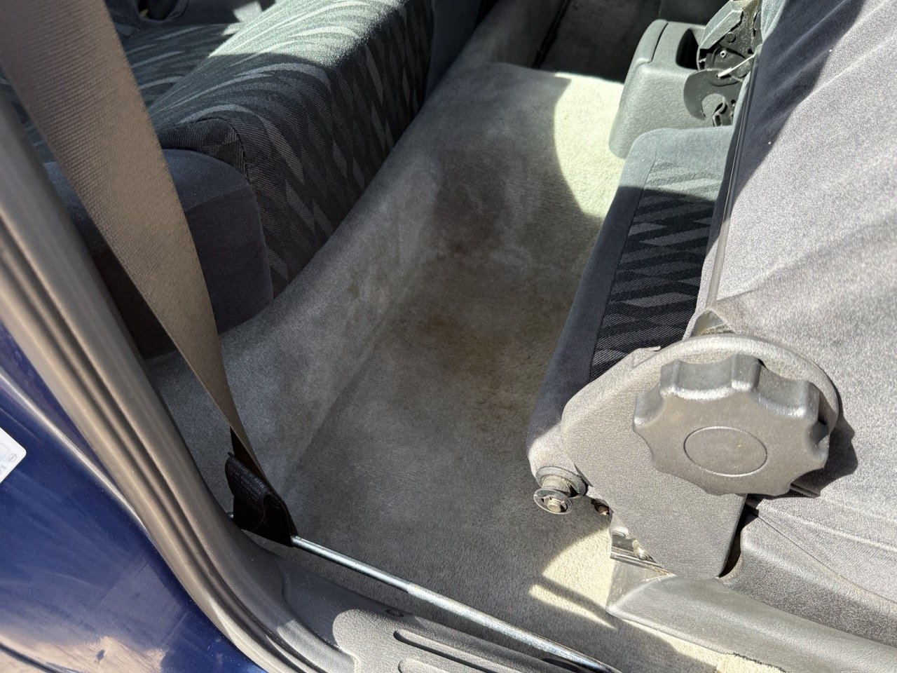 IMG_2451 – grande.jpeg