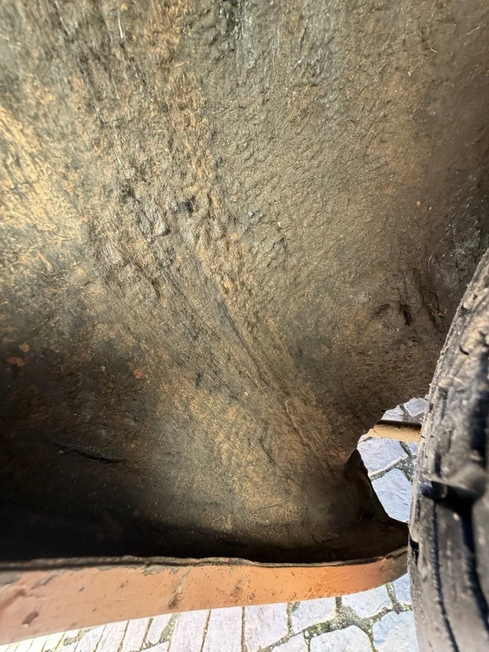 IMG_2462 – grande.jpeg