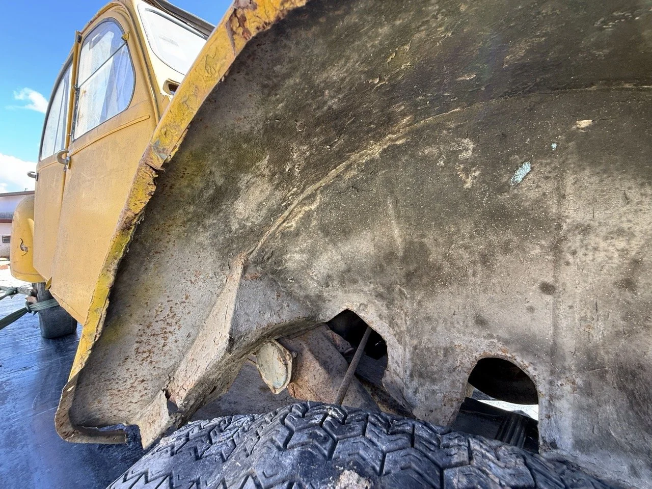 IMG_9142 – grande.jpeg