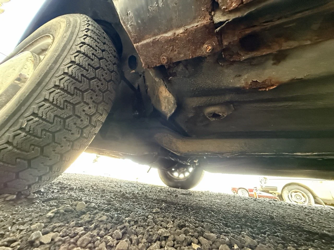 IMG_0617 – grande.jpeg