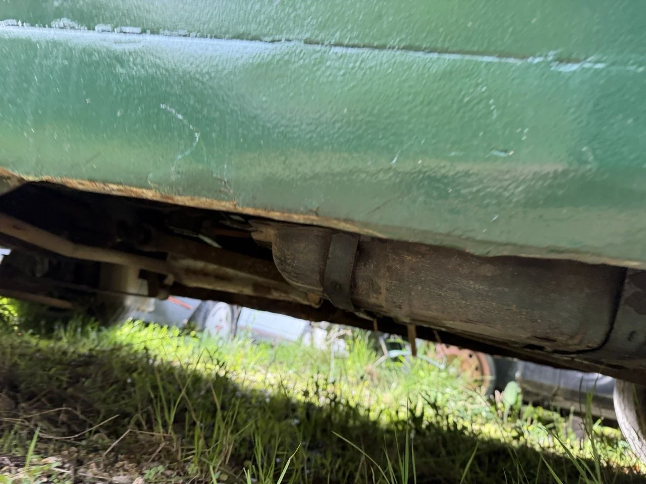 IMG_3916 – grande.jpeg