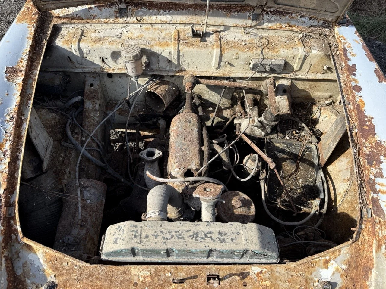 IMG_0494 – grande.jpeg