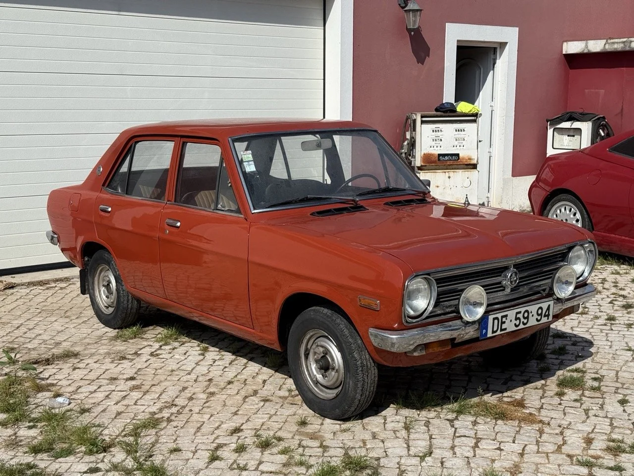 IMG_3583 – grande.jpeg