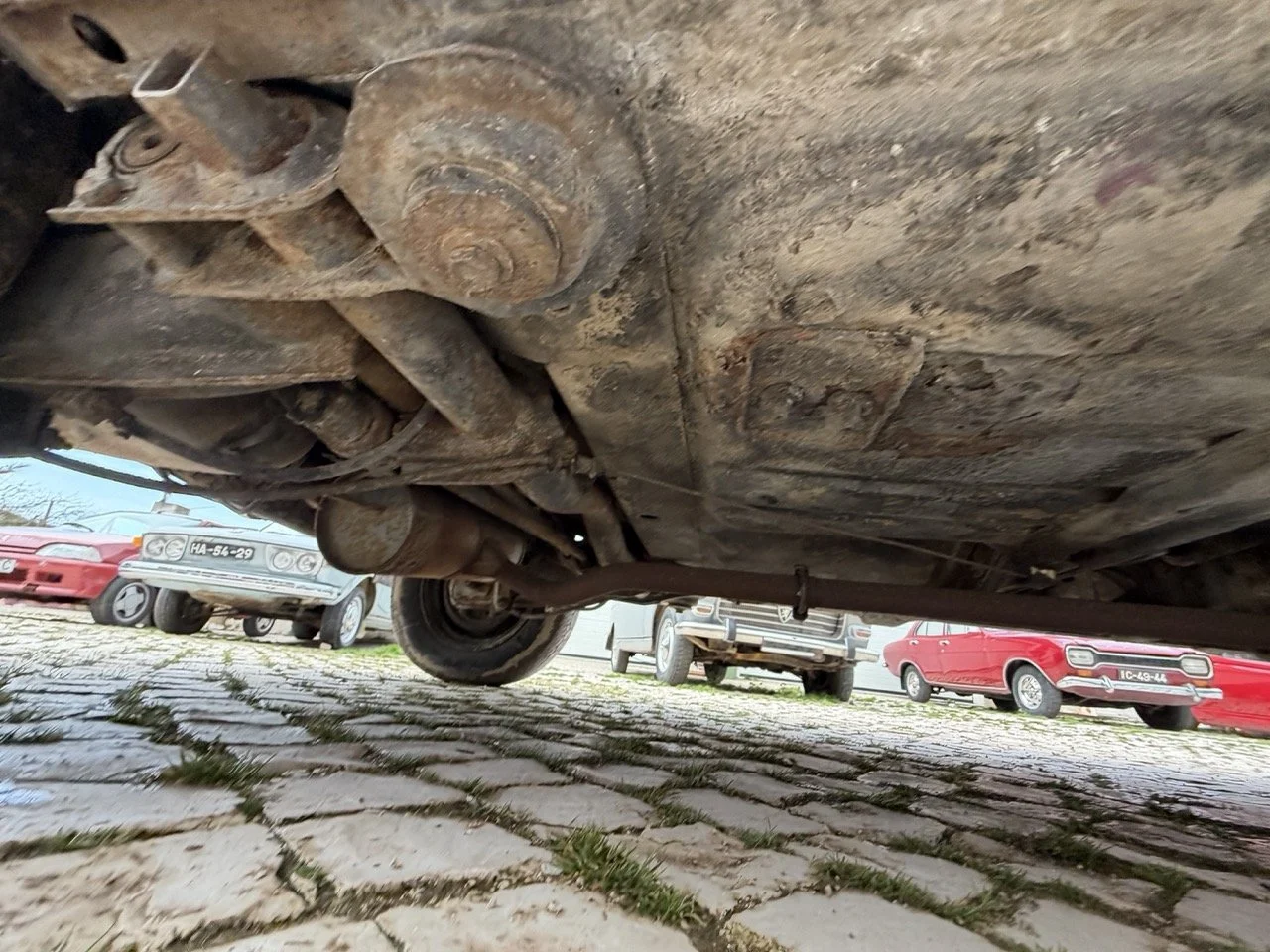 IMG_4946 – grande.jpeg