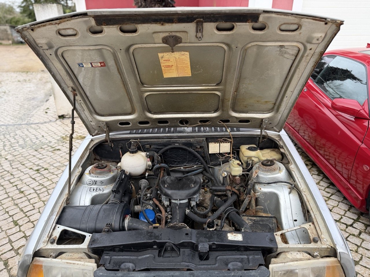 IMG_0527 – grande.jpeg