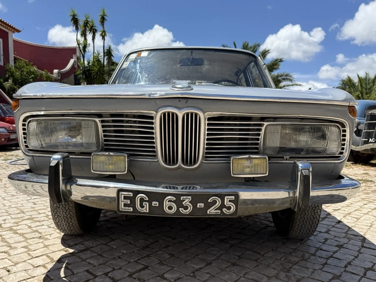 IMG_2696 – grande.jpeg