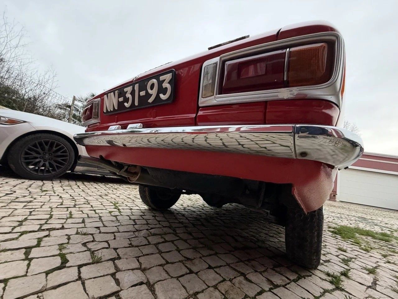 IMG_8304 – grande.jpeg