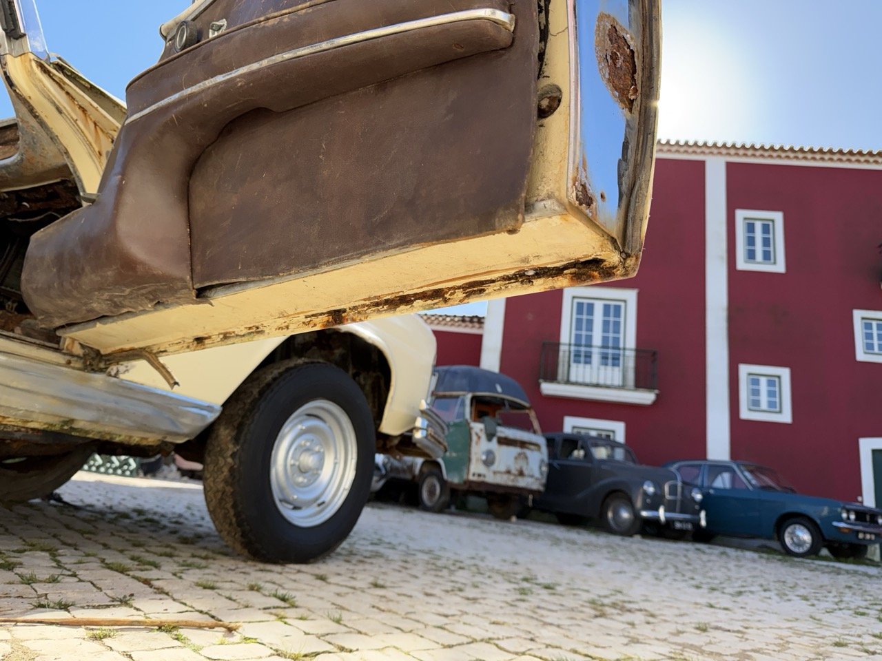 IMG_7031 – grande.jpeg