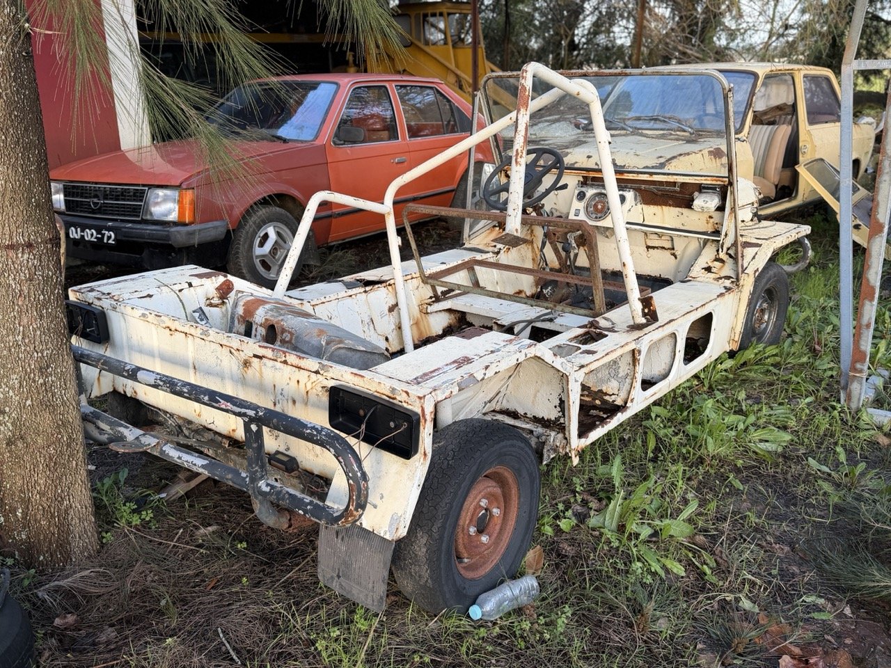 IMG_0875 – grande.jpeg