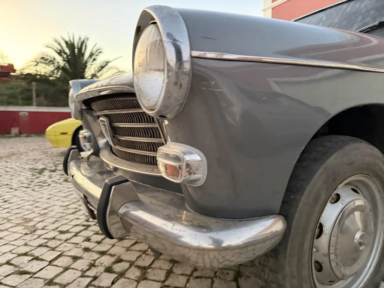 IMG_7540 – grande.jpeg