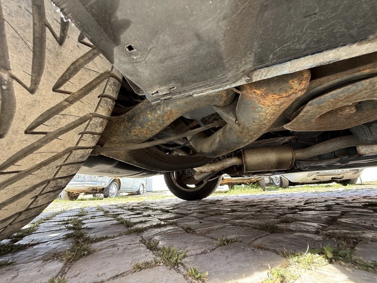 IMG_2512 – grande.jpeg