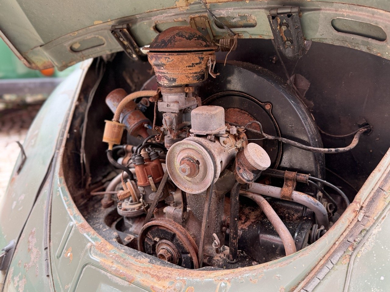 IMG_1161 – grande.jpeg