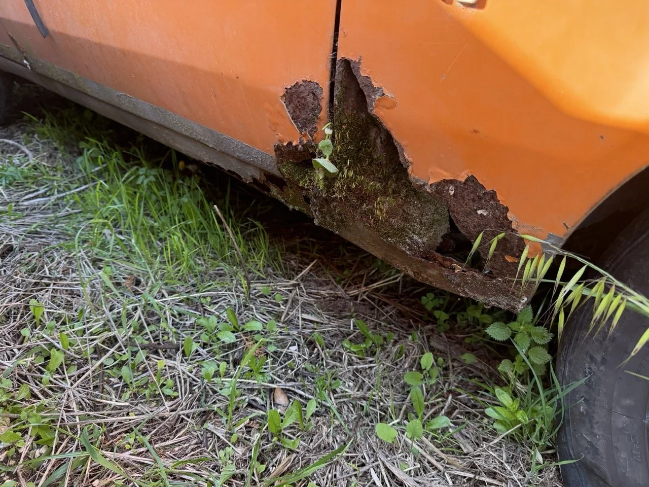 IMG_7713 – grande.jpeg