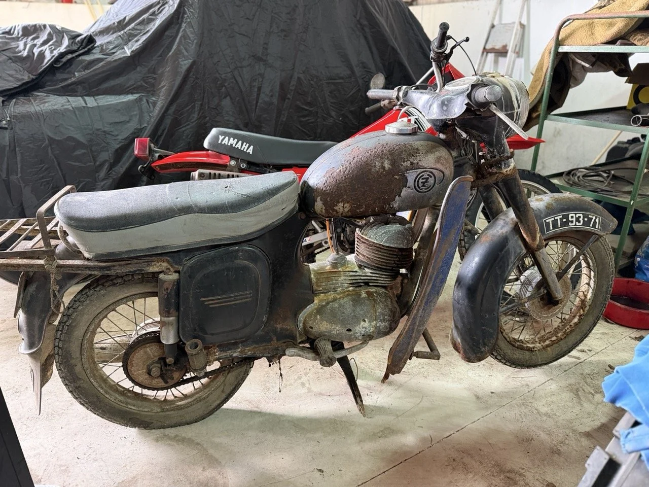 IMG_2167 – grande.jpeg