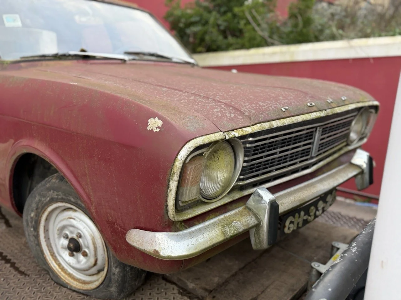 IMG_8978 – grande.jpeg