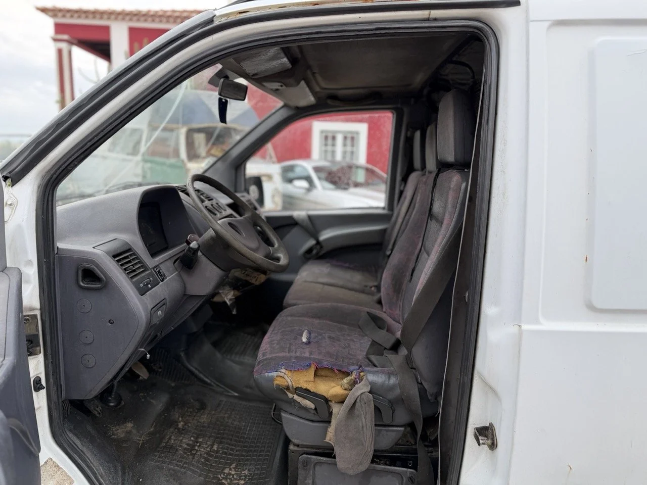 IMG_9511 – grande.jpeg