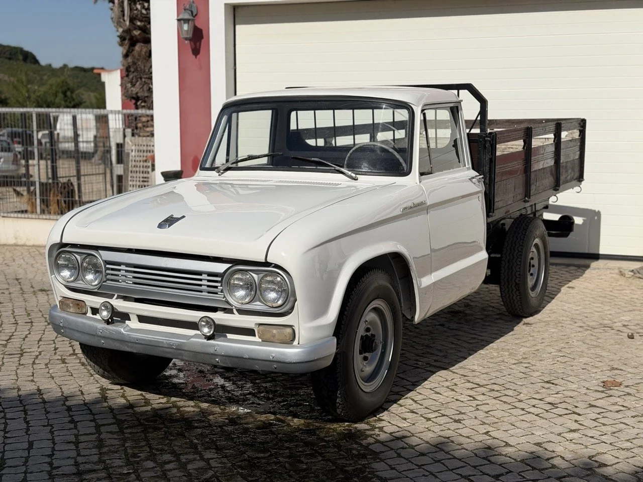 IMG_8541 – grande.jpeg