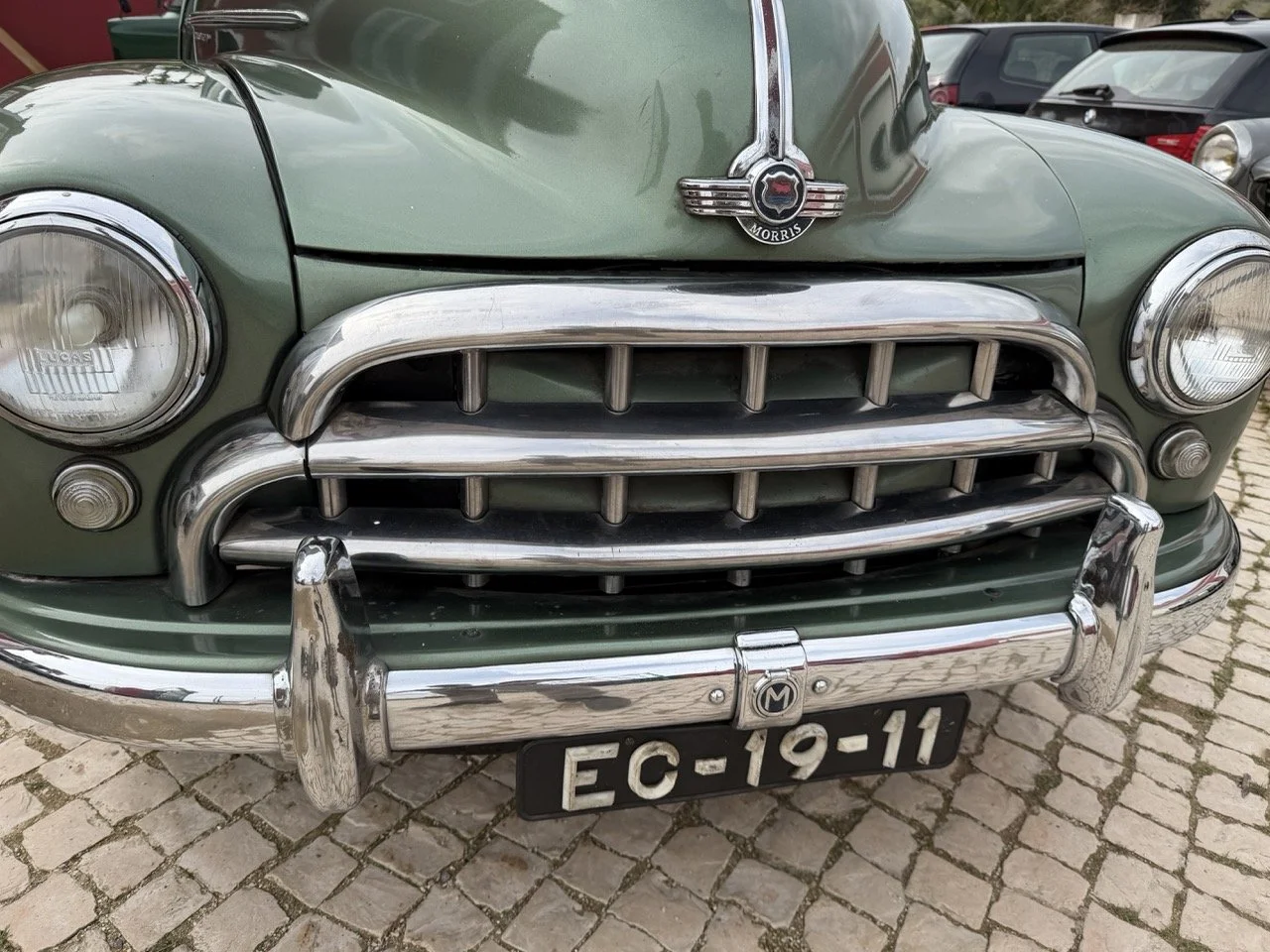 IMG_9846 – grande.jpeg