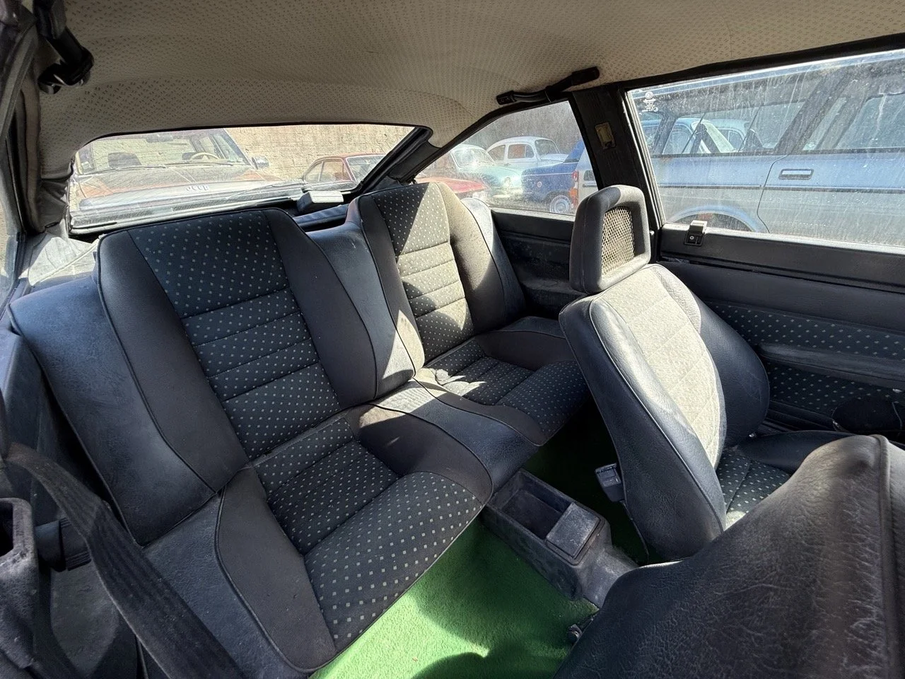 IMG_2910 – grande.jpeg