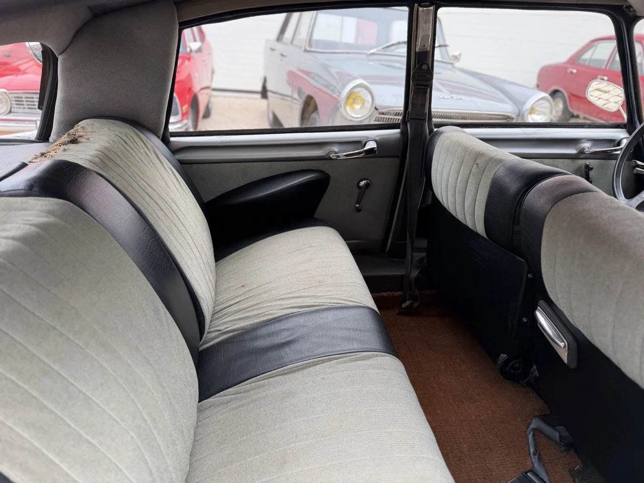 IMG_3722 – grande.jpeg